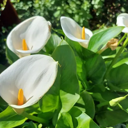 アパート Unter Dem Sonnberg