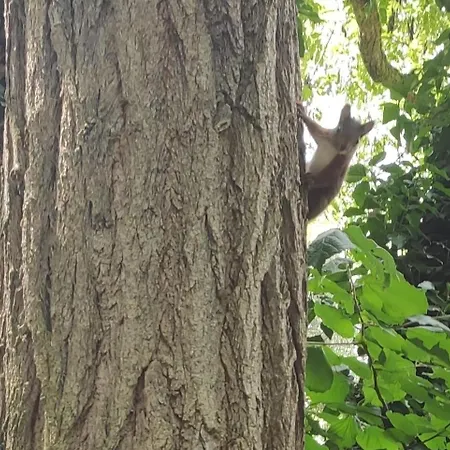 Unter Dem Sonnberg Аугген