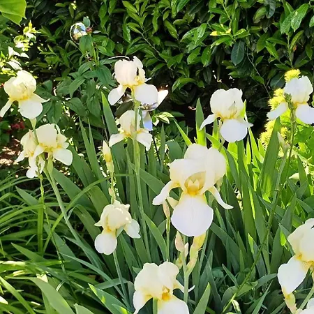 شقة Unter Dem Sonnberg *