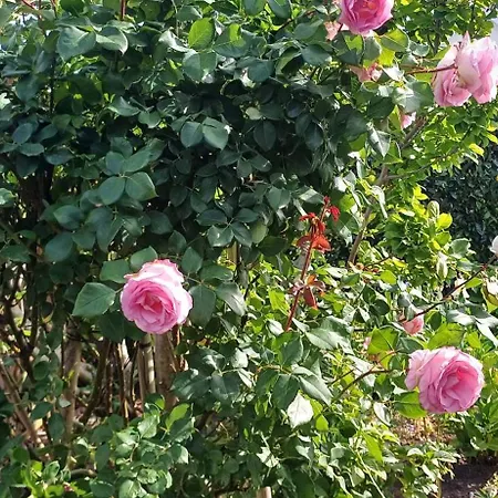 Unter Dem Sonnberg شقة *