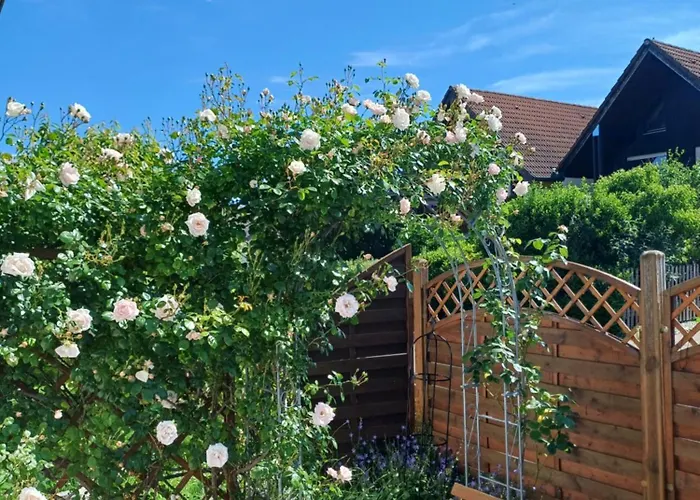 Unter Dem Sonnberg * Auggen