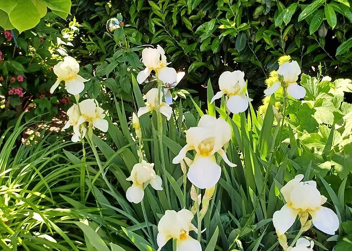 Apartamento Unter Dem Sonnberg *