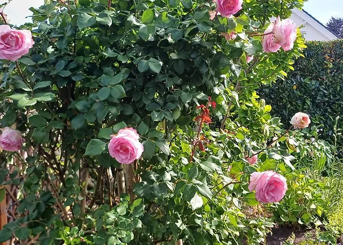 Unter Dem Sonnberg Apartamento *