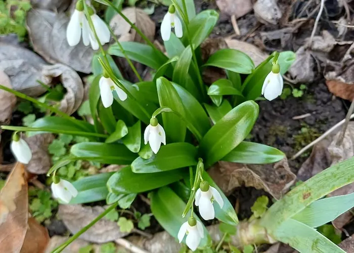 Unter Dem Sonnberg Apartamento